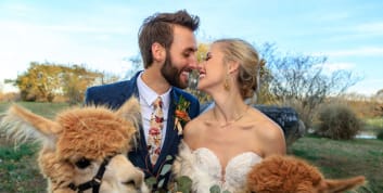 A smiling bride and groom pose with two alpacas during their vineyard wedding at Blue Sky Vineyard.
