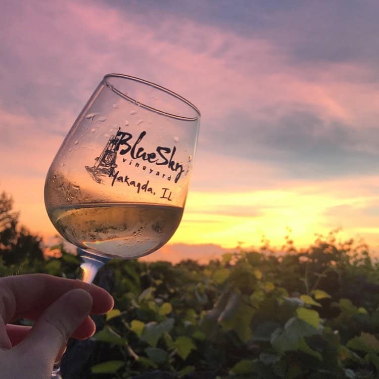 Blue Sky Vineyard glass of wine at sunset in Makanda, Illinois.